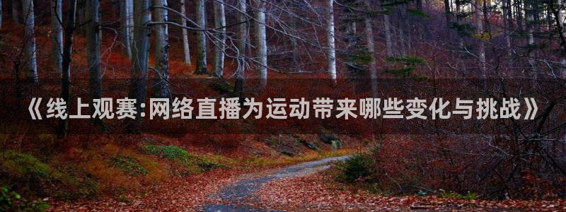 《线上观赛:网络直播为运动带来哪些变化与挑战》