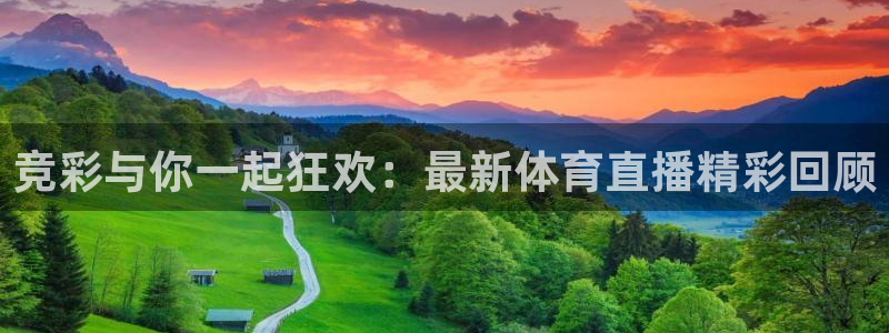 竞彩与你一起狂欢：最新体育直播精彩回顾