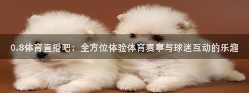 0.8体育直播吧：全方位体验体育赛事与球迷互动的乐趣
