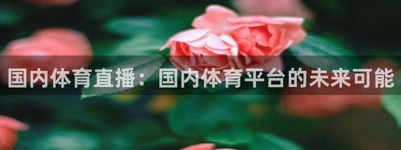 国内体育直播：国内体育平台的未来可能
