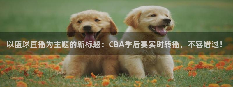 以篮球直播为主题的新标题：CBA季后赛实时转播，不容错过！