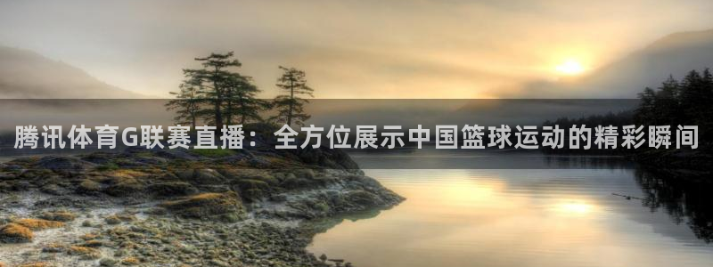 腾讯体育G联赛直播：全方位展示中国篮球运动的精彩瞬间