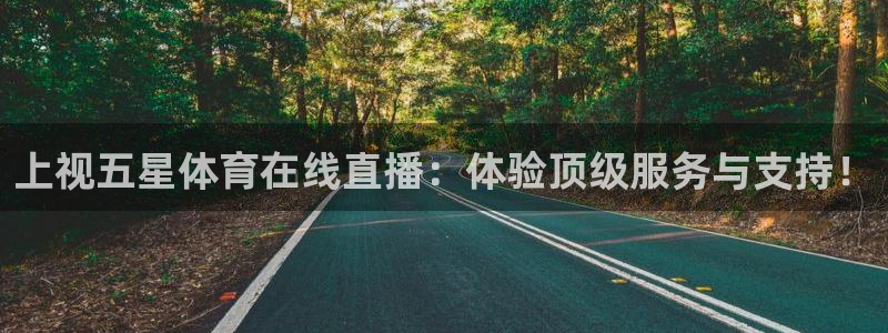 上视五星体育在线直播：体验顶级服务与支持！
