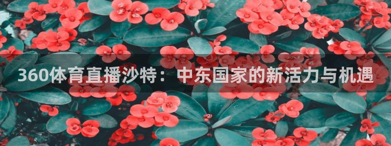 360体育直播沙特：中东国家的新活力与机遇