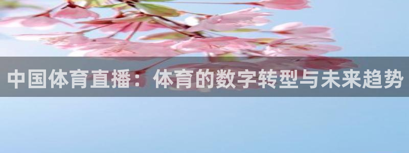 中国体育直播：体育的数字转型与未来趋势